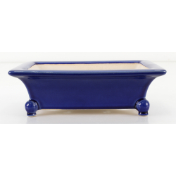 Bonsai pot FCH029 ZHANG ZHICHENG