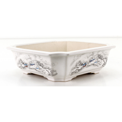 Bonsai pot FCH048 ZHANG ZHICHENG