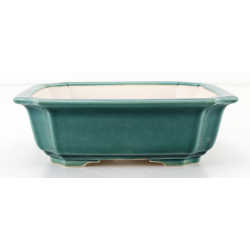 Bonsai pot FCH070 ZHANG ZHICHENG view 2