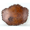 Laja de madera antigua japonesa jiita 44