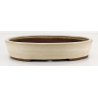Bonsai pot JTA8555 EJIRI TAIZAN