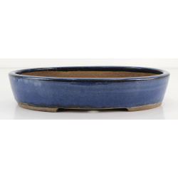 Bonsai pot JTA8554 EJIRI TAIZAN