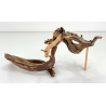 Wood for tanuki bonsai 175 view 2