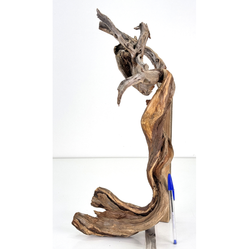 Madera para tanuki bonsái 178
