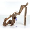 Wood for tanuki bonsai 180