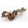 Wood for tanuki bonsai 180 view 3