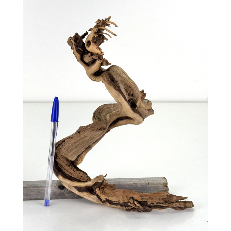 Wood for tanuki bonsai 182