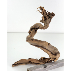 Wood for tanuki bonsai 182 view 2