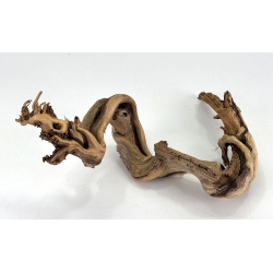 Wood for tanuki bonsai 182 view 3