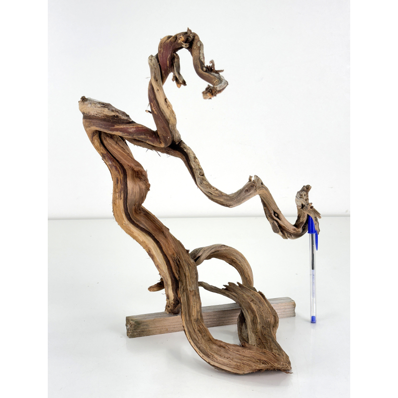 Wood for tanuki bonsai 186