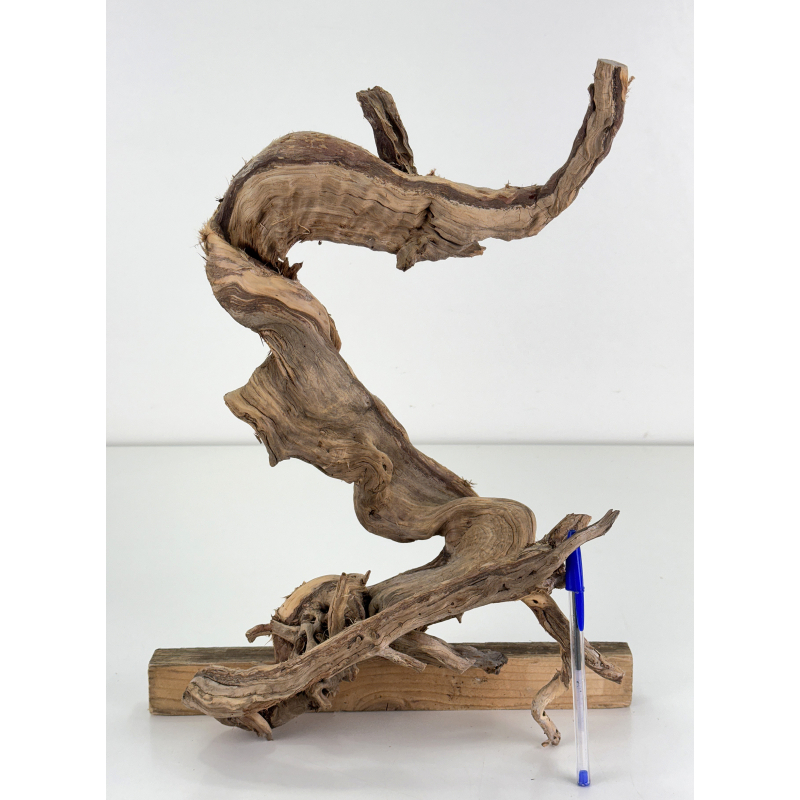 Madera para tanuki bonsái 187B