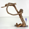Wood for tanuki bonsai 188