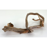 Wood for tanuki bonsai 188 view 3