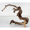 Wood for tanuki bonsai 195 view 2