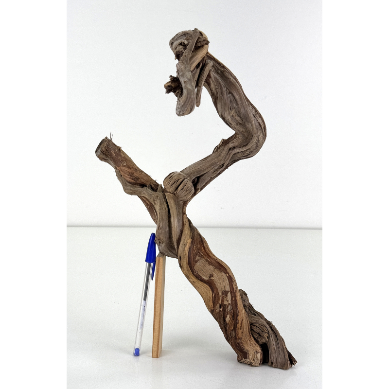 Madera para tanuki bonsái 197