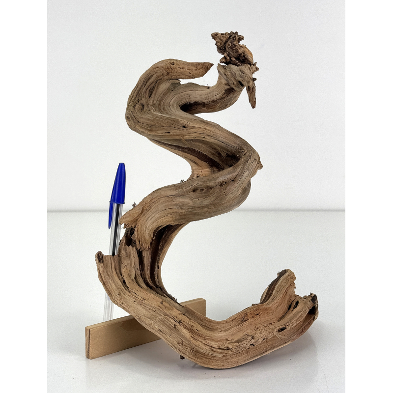 Madera para tanuki bonsái 200