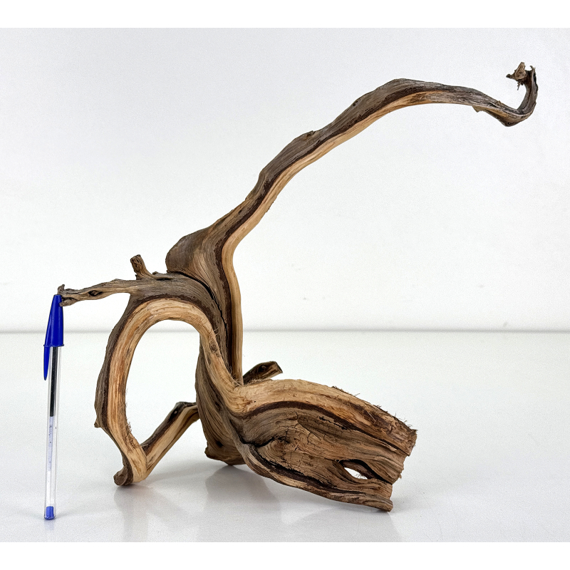 Wood for tanuki bonsai 201