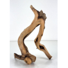 Wood for tanuki bonsai 204 view 2