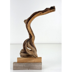 Wood for tanuki bonsai 207 view 2