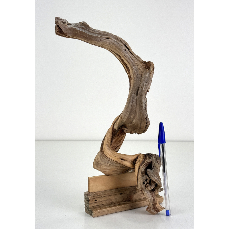 Madera para tanuki bonsái 207