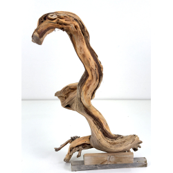 Wood for tanuki bonsai 208 view 2