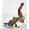 Wood for tanuki bonsai 210 view 2