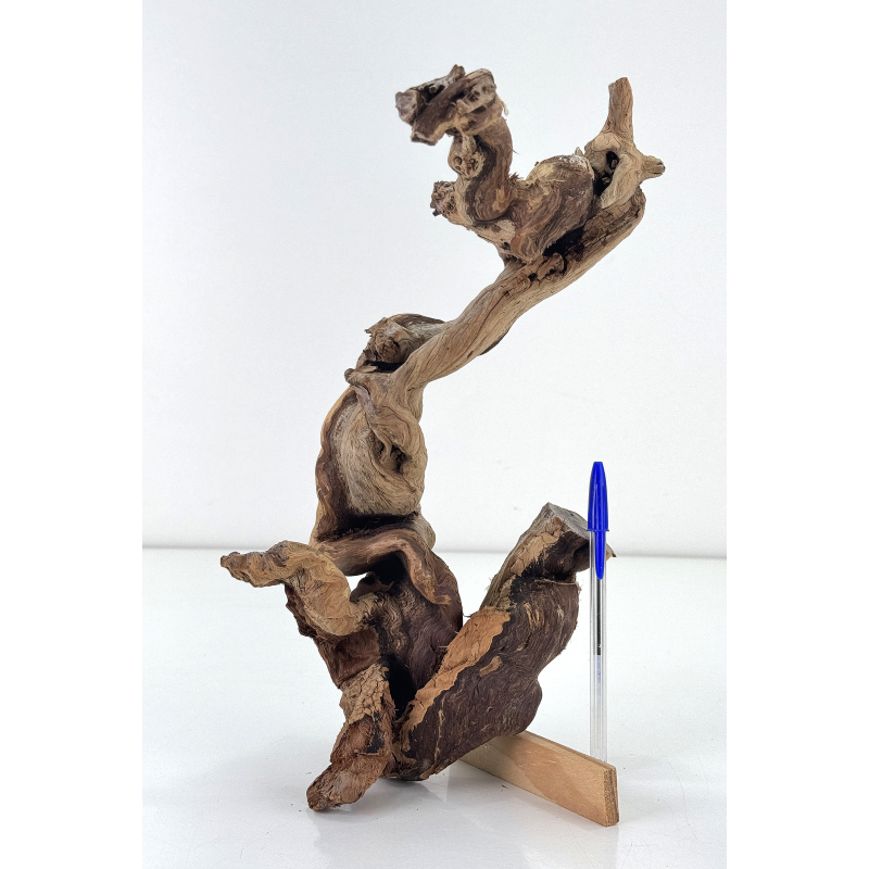 Wood for tanuki bonsai 213
