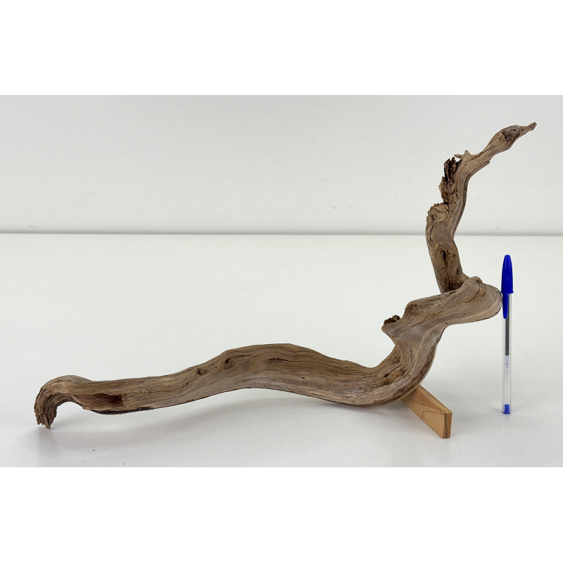 Wood for tanuki bonsai 216