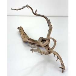 Wood for tanuki bonsai 217 view 3