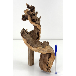 Wood for tanuki bonsai 221