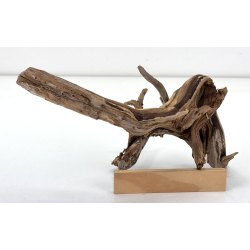 Wood for tanuki bonsai 227 view 2