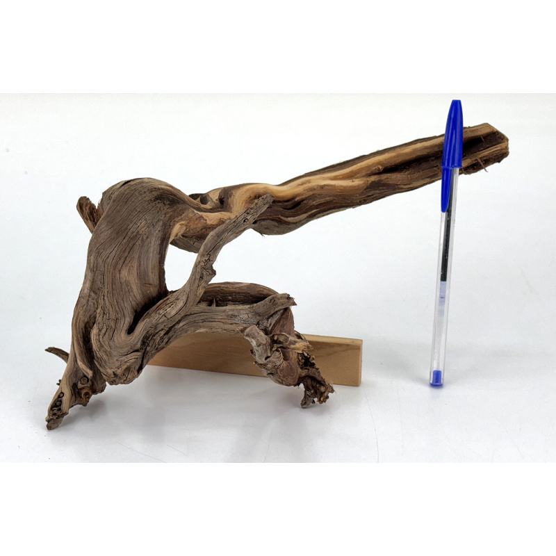 Wood for tanuki bonsai 227