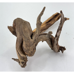 Wood for tanuki bonsai 227 view 3