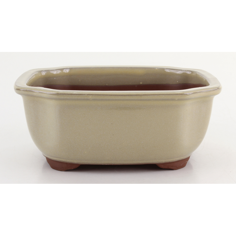 Maceta bonsái YOKN050A MIZUTANI