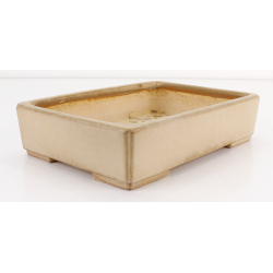 Bonsai pot JTA8588 KOYO KOUICHIROU view 2