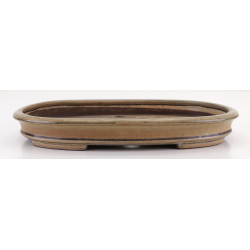 Bonsai pot JTA8577 TOSUI MASAO