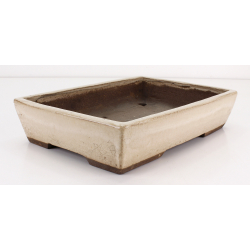 Bonsai pot JTA8565 EJIRI TAIZAN view 2