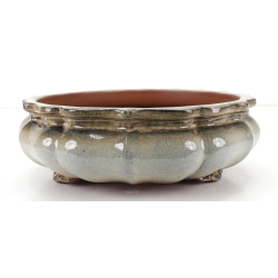 Bonsai pot FCH035 ZHANG ZHICHENG