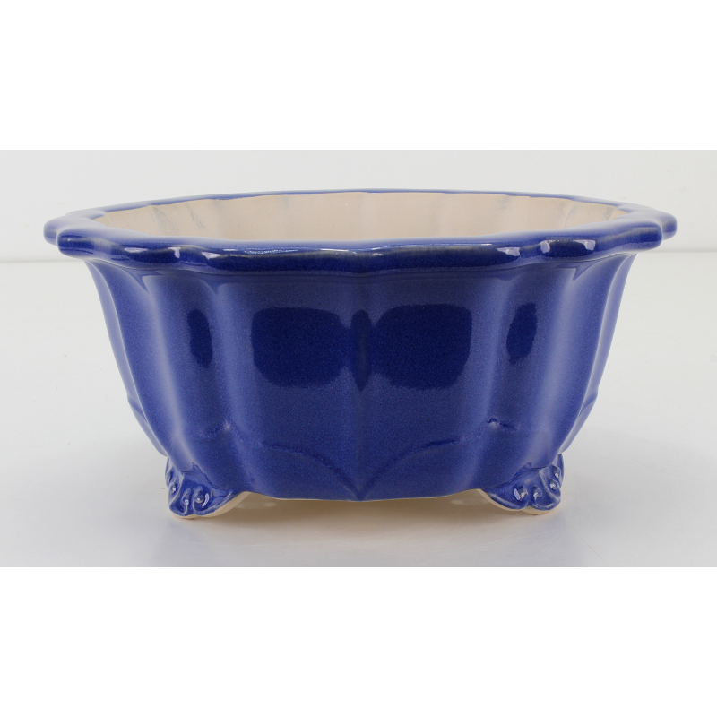 Bonsai pot FCH098 ZHANG ZHICHENG
