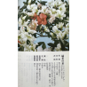 Azalea Ryokuka-no-izumi I-7783 vista 6