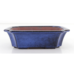 Bonsai pot FCH197 ZHANG ZHICHENG