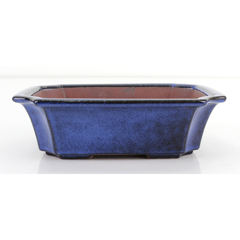 Bonsai pot FCH197 ZHANG ZHICHENG