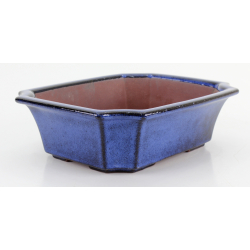 Bonsai pot FCH197 ZHANG ZHICHENG view 2