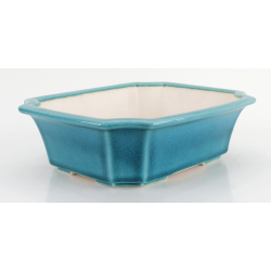 Bonsai pot FCH198 ZHANG ZHICHENG view 2