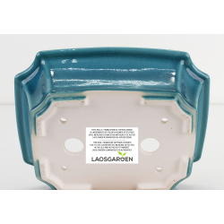 Bonsai pot FCH198 ZHANG ZHICHENG view 3