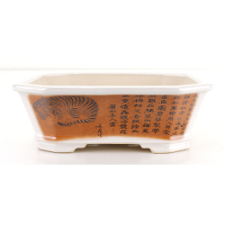 Bonsai pot FCH177 ZHANG ZHICHENG