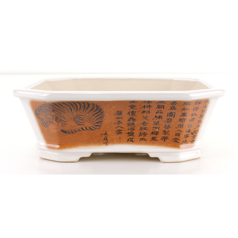 Maceta bonsái FCH177 ZHANG ZHICHENG Maceta bonsái FCH177 ZHANG ZHICHENG
