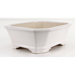Bonsai pot FCH177 ZHANG ZHICHENG view 3