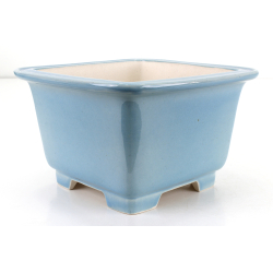 Bonsai pot FCH180 ZHANG ZHICHENG
