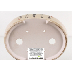 Bonsai pot FCH173 ZHANG ZHICHENG view 3